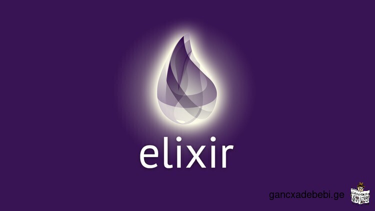 Elixir Developer